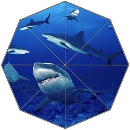 Best gift!DIY "Great white shark-and-whale in blue ocean wallpaper HD pictures"43.5 Inch Forable Compact Rain Umbrella!