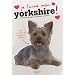Je l'aime mon yorkshire ! : Tout ce que je dois savoir pour le rendre heureux