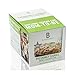 Bumpboosters Pregnancy Cookies - Oatmeal Chocolate Chip - 2 oz - 12 ct