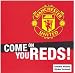 Kitchen & Housewares : Manchester United FC Window Sticker - Square