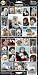 Pet Qwerks S25 Havanese Dog Sticker
