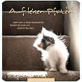 Tier-Kalender: Katzen...