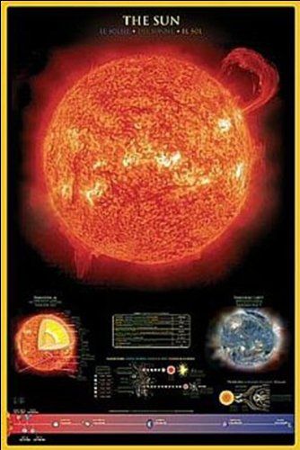 The Sun - Educational - Maxi Poster - 61 cm x 91.5 cm