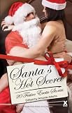 Santa's hot secrets : a collection of twenty erotic festive stories