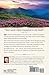Two Minutes in the Bible Through Psalms: A 90-Day Devotional