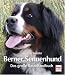 Image of Der Berner Sennenhund: Das große Rassehandbuch