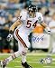 Brian Urlacher Chicago Bears - Action - Autographed 8x10 Photograph
