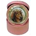 Limited Edition Violano Jewelry Case Travel Alarm Clock Dachshund Victorian