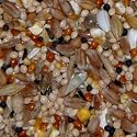 25KG SACK OF SUPERIOR MIX BIRD FOOD