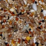 20KG SACK OF SUPERIOR MIX NUT FREE BIRD FOOD