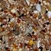 Outdoor Living : 25KG SACK OF SUPERIOR MIX BIRD FOOD