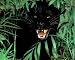 Animal Panther Scary Black Leopard Cat Art Poster Print - 20 X 16