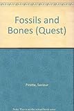 Fossils and bones