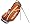 Texas Longhorns
