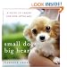 Small Dogs, Big Hearts: A Guide to Caring for Your Little Dog