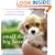 Small Dogs, Big Hearts: A Guide to Caring for Your Little Dog