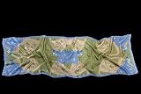 Silk Shawl Snake in Green