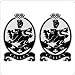 Two Twilight Cullen Crest Decals Stickers Car Graphics