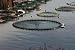 Fish Farm Plant Nature and Industry Concepts - 36