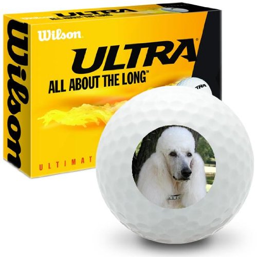 French Poodle - Wilson Ultra Ultimate Distance Golf Balls