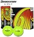 Bridgestone Precept e6 Yellow 1-Dozen Golf Balls