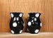ACK Black Polka Dots Ceramic Hand Painted Salt and Pepper Shakers Set, Kitchen Décor