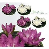 Return to product information