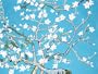 Van Gogh THE ALMOND BLOSSOMS Acrylic Painting Kit 12 x 16