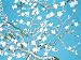 Van Gogh THE ALMOND BLOSSOMS Acrylic Painting Kit 12 x 16