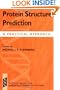 Protein Structure Prediction: A Practical Approach