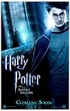 Harry Potter and the Deathly Hallows: Part I Poster Movie B (11 x 17 Inches - 28cm x 44cm) Emma Watson Daniel Radcliffe Ralph Fiennes Helena Bonham Carter Tom Felton Alan Rickman