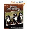Unser Traumhund: Berner Sennenhund