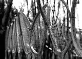 Badminton - 24