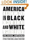 America in Black and White: One Nation, Indivisible