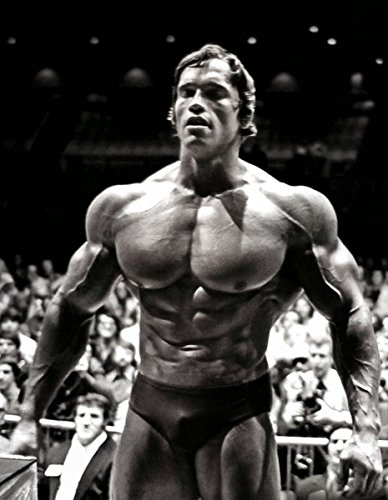 Arnold Schwarzenegger poster 32 inch x 24 inch / 17 inch x 13 inch