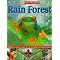 teach a unit on the rain forest
