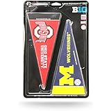 College Big 10 Mini Pennant Set