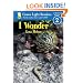 I Wonder (Green Light Readers Level 2)
