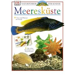 Naturführer für Kinder. Meeresküste (Taschenbuch)