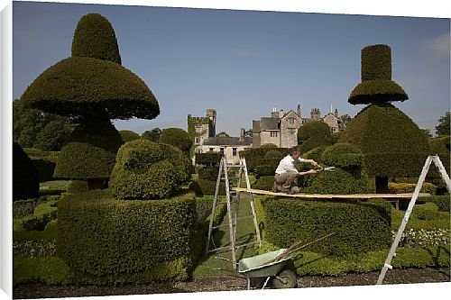 Canvas Prints of Best of British from Country Life 