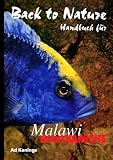 Malawibuntbarsche