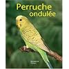 La perruche ondul�e