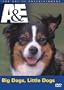 Big Dogs / Little Dogs (A&E DVD Archives)