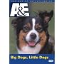 Big Dogs / Little Dogs (A&E DVD Archives)