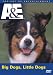 Big Dogs / Little Dogs (A&E DVD Archives)