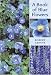 A Book of Blue Flowers