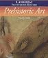 The Cambridge Illustrated History of Prehistoric Art (Cambridge Illustrated Histories)