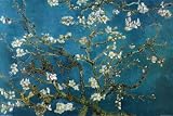 Almond Blossom Categories Poster Print by Vincent van Gogh, 36x24
