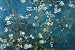 Almond Blossom Art Styles Poster Print by Vincent van Gogh, 36x24