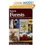 A Field Guide to Eastern Forests: North America (Peterson Field Guide)